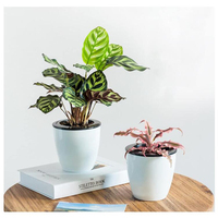 Pot de fleurs en plastique écologique, durable, moderne, décoratif, pour intérieur, à poser au sol, avec trou de drainage et plateau