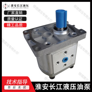 Pompe à engrenages Changjiang CBS-D304, pompe à huile hydraulique de type rotatif en fonte, entraînement électrique - Product Image 4