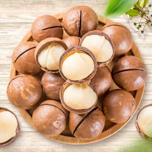 Kedatangan Baru Kacang Macadamia Mentah Berkualitas Tinggi Makanan Kering Bersertifikat HACCP Musim Panas Wanita Hamil Grosir Camilan 500g - Product Image 4