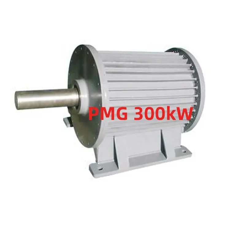 Высококачественный генератор переменного тока Генератор 300kw постоянного магнита 420V 600V