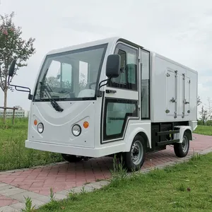 Koelkast Container Doos Hotel Resort Gebruikt Elektrische Voedsel Levering Truck