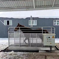 Tapis roulant pour chevaux équins à grande vitesse certifié CE tapis roulant sous l'eau