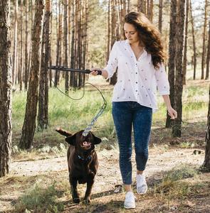 Hoge Kwaliteit Sporter Interactief Huisdier Speelgoed Training Trekken Honden Oefenapparatuur Uitschuifbare Flirtstok - Product Image 6