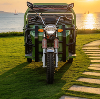 Tricycle électrique certifié CEE, capacité de charge de 585 kg, caisse de chargement de 1600 mm, autonomie de 60 à 80 km, tricycle électrique homologué pour l'Europe, autonomie de 45 km