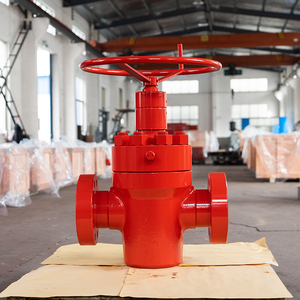อุปกรณ์ควบคุมหัวบ่อนขนาดพิเศษ 6A เกตสำหรับงานน้ำมัน - Product Image 6