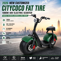 Nouveau Citycoco 1000W 48V à grandes roues, trottinette électrique à pneus larges pour adulte, puissante moto électrique à pneus larges pour la vente en gros