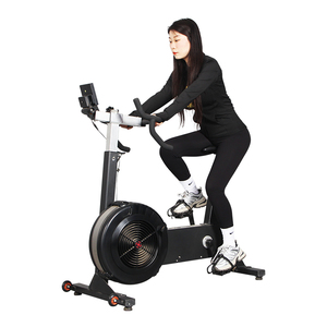 DGZ New Arrival Commercial Home/Indoor Gym Exercise Fitness Equipment Fan Air Bike Erg DGZ-9632 Air Bike DGZ-9632 - Product Image 4
