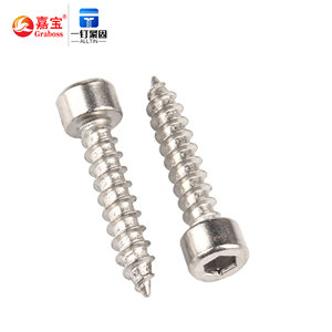 Chất Lượng Cao Thép Không Gỉ Vòng Hình Lục Giác Ổ Cắm Pho Mát Đầu Vít M2 M3 M4 M5 M6 Tự Khai Thác Vít - Product Image 5