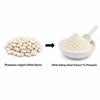 Extrait de haricot blanc Phaseolus Vulgaris en vrac de l'usine LCHBIO, 1% de phaseoline, protéine végétale naturelle, complément nutritionnel en poudre