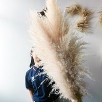 Bán Buôn Trang Trí Khô Bất Tự Nhiên Fluffy Lông Pampass Cỏ Bó Hoa Cao Cỏ Pampas Trắng