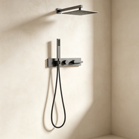 Ensemble de douche WEIHAO gris anthracite, 2 fonctions, douche de plafond carrée avec douchette à main, système de douche moderne pour salle de bain d'hôtel