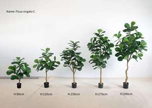 Jade Horizon, <span class=keywords><strong>plante</strong></span> artificielle durable et écologique, ficus, <span class=keywords><strong>d</strong></span>écoration de jardin <span class=keywords><strong>d</strong></span>'intérieur et <span class=keywords><strong>d</strong></span>'extérieur, vente en gros, <span class=keywords><strong>chambre</strong></span> à coucher - Product Image 6