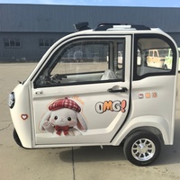 Triciclo Eléctrico de 800W para Personas Mayores, 3 Pasajeros, Mini Vehículo Eléctrico de Baja Velocidad para Viajes Diarios en Zonas Rurales y Transporte de Compras