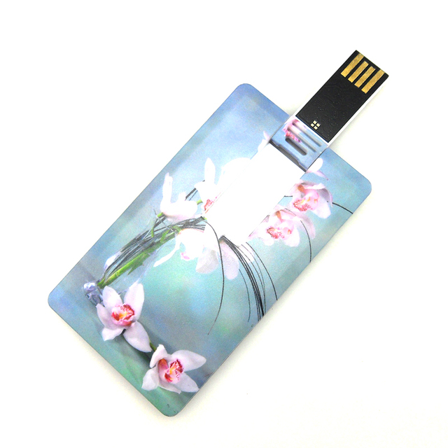 Custom Logo 16GB USB 2.0 Flash Drive New Plastic Business Thumb Drive with Unique Credit Card Design