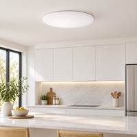 Plafonnier LED rond en plastique blanc à couvercle torsadé, à montage en saillie ou encastré, pour chambre et cuisine, vente en gros