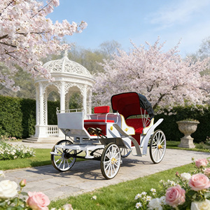 Carroza de Calabazas Estilo Cuento de Hadas para Paseos Turísticos en Parques de Atracciones, Bodas y Actividades Infantiles - Product Image 1