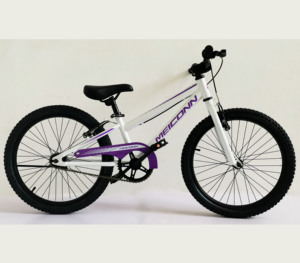 Vélo pour enfants 20 pouces, cadre en acier, garçons filles, âges 6-12 ans, hauteur 48-62, siège et guidon réglables SY-BM20012 SY-BM20012 - Product Image 4