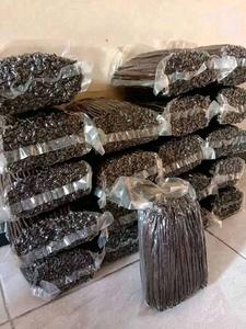 Vanille Bourbon Séchée Professionnelle 18 cm, Gousses de Vanille Pure à 100% (Planifolia), 1kg, Arôme Riche, Saveur Intense, Madagascar VANILLE HARVEST - Product Image 4