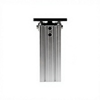 DHR2C-32M40 Mini-cylindre rotatif en aluminium ultra-léger, actionneur à bascule à positionnement latéral, accessoire pour bras robotique, standard