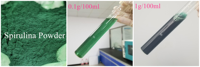 Fournisseur d'usine, spiruline naturelle certifiée, protéine, poudre de spiruline verte