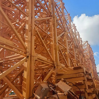 Grue à tour portant le moteur pièces de rechange usine approvisionnement direct meilleure qualité meilleure vente résistant à la Corrosion mât Section / L46A1