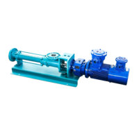 Pompe à vis à cavité progressive simple, alternative équivalente aux pompes Netzsch/Seepex 304ss pour le transfert de produits chimiques/eaux usées/boues