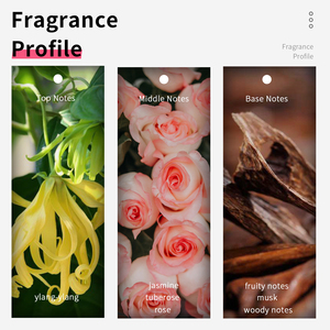 VILILY 100ml Parfums pour femmes Brume corporelle florale fruitée Vaporisateur en verre de voyage <span class=keywords><strong>Parfum</strong></span> longue durée pour femme - Product Image 4