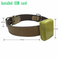 Mini traceur NB-IoT avec carte SIM, puce de suivi GPS intelligente, dispositif de suivi pour chiens et chats