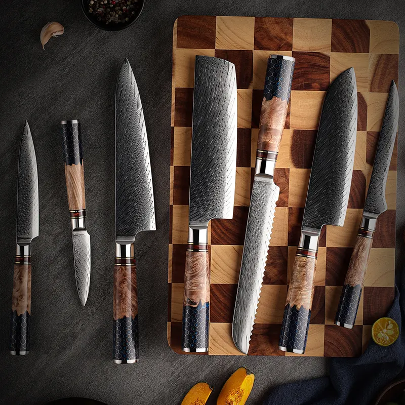 Hot Selling Kitchen Knives Set 67 Layer Damascus Steel Chef knife Ultra Sharp Meat Vegetables Kitchen Knife with Resin Handle