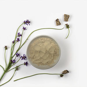 Экстракт женьшеня Panax водорастворимый, 10-80% гинзенозидов (УФ-стабилизированных) - Product Image 1