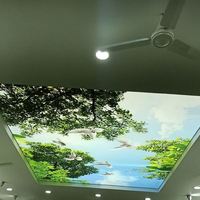 Pangui Matériaux de construction gratuits Tissu Plafond tendu Prix Échantillons Film décoratif PVC Film de plafond tendu imprimé UV MSD