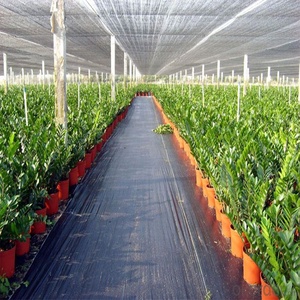 Tissu <span class=keywords><strong>géotextile</strong></span> en PP tissé pour allées de <span class=keywords><strong>jardin</strong></span> et routes, 300 g/m², pour drainage et stabilisation, <span class=keywords><strong>prix</strong></span> usine bas - Product Image 6