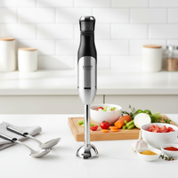 Mixeur Plongeant Certifié CE pour Usage Domestique, Moteur 100% Cuivre Pur, Lame en Acier Inoxydable 304, 5+ Vitesses Réglables