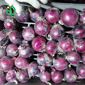 Trung Quốc tươi hành tây giá trong thấp (Đỏ hành tây/Vàng hành tây) Kích thước 4-7cm, 5-8cm, 8-12cm, đóng gói 10kg/20kg/25kg lưới túi - Product Image 4