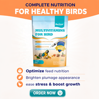 La poudre de formule de vitamines et de minéraux OEM Parrot soutient la santé de vos oiseaux avec de multiples vitamines