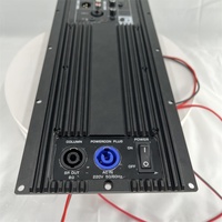 Module d'amplificateur de classe D de vente chaude pour le module d'amplificateur de caisson de basses de haut-parleur actif Module d'amplificateur d'entrée Audio 2 Ch