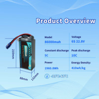Batterie de drone à anode sans lithium haute capacité 450Wh/kg 10C 86000mAh Solid State 6S/12S/18S personnalisée pour VTOL et robot AVG