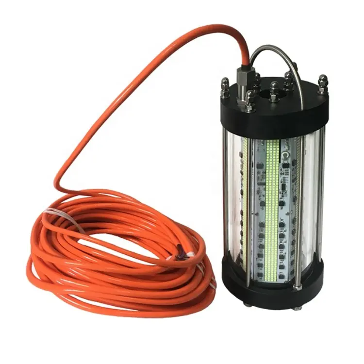 1000W LED dalgıç 30ft kablosu su geçirmez AC su altı balıkçılığı ışığı