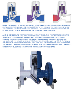 513f thép carbon tĩnh nhiệt Bẫy hơi van DN15 PN20 mặt bích Bẫy hơi cho ứng dụng chung - Product Image 3