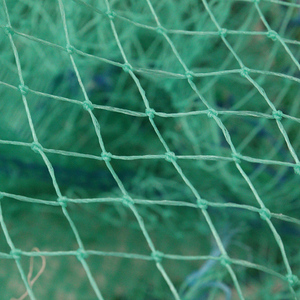 Jaula flotante para peces, red de pesca de trampa larga para cangrejos, cangrejos, langosta, Color verde de Bangladesh, precio competitivo - Product Image 6