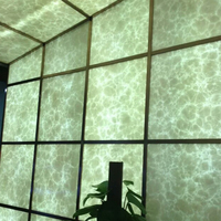 Panneau mural rétroéclairé en pierre artificielle translucide, surface solide en albâtre, imperméable et durable, design contemporain