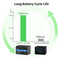 Melasta Wiederaufladbare Solar-Lithium-Eisenphosphat-Batterie zum Fabrikpreis, Tiefzyklus 12,8V 12Ah LiFePO4-Batterie für Boote
