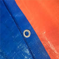 Pe Enduit 100% Polyester Tissé Tissu Imperméable Ignifuge Bâche pour Voitures-Tailles Liste de Prix Disponible chez Leroy Merlin