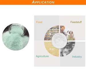 <span class=keywords><strong>Sulfate</strong></span> ferrique hexahydraté 98% Supplément <span class=keywords><strong>de</strong></span> <span class=keywords><strong>fer</strong></span> pour le sol pour la fertilisation des plantes - Product Image 5