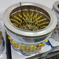 Machine à plumer les volailles en acier inoxydable pour le traitement du poulet, du canard et de l'oie