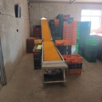 Nouvelles cages à batterie automatiques en acier galvanisé pour l'élevage de poules pondeuses
