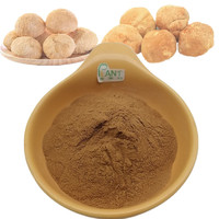 PLANTBIO Extrait naturel de champignon Hericium Erinaceus (Crinière de lion) en poudre 10:1