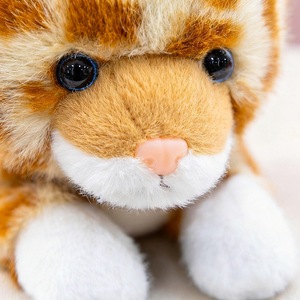 Lindo Oso de Peluche, Juguete de Peluche, Adorno de Escritorio, Mesa para Mascotas con Malla de Franela, Alivio del Estrés, Regalo de Cumpleaños - Product Image 3