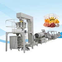 Gedehydrateerde Droge Vruchten Groenten Chips Dobbelstenen Drogen Machine Voor Het Maken Van Verwerking