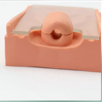 Simulador de anatomía del órgano reproductor femenino, modelo anatómico para la escuela de medicina, entrenamiento de colocación y extracción de DIU, silicona médica
